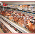 Jaula de la batería de la capa de pollo de 4 niveles para Tanzania Poultry Farm